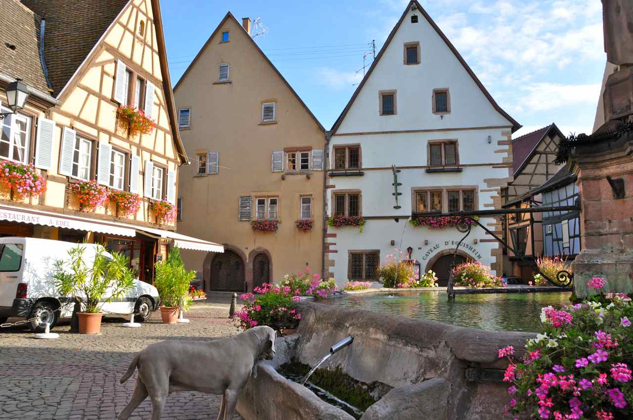 Eguisheim